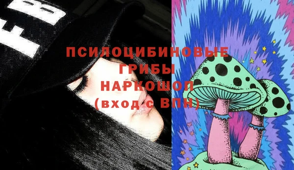 стафф Горнозаводск