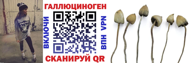 Псилоцибиновые грибы ЛСД  Данилов 